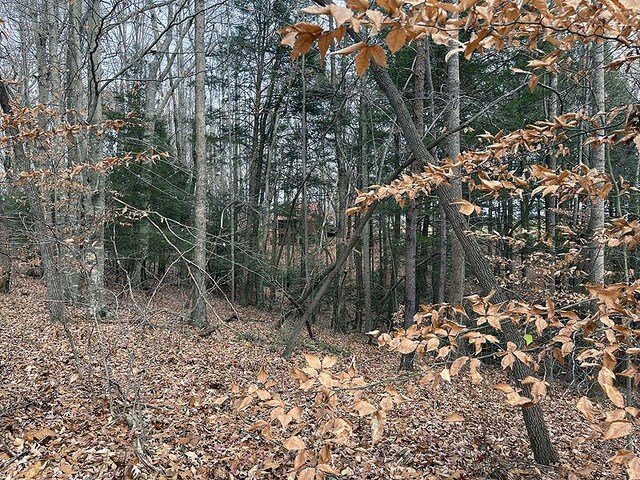 191 Stillwater, Russell Springs, KY 42642