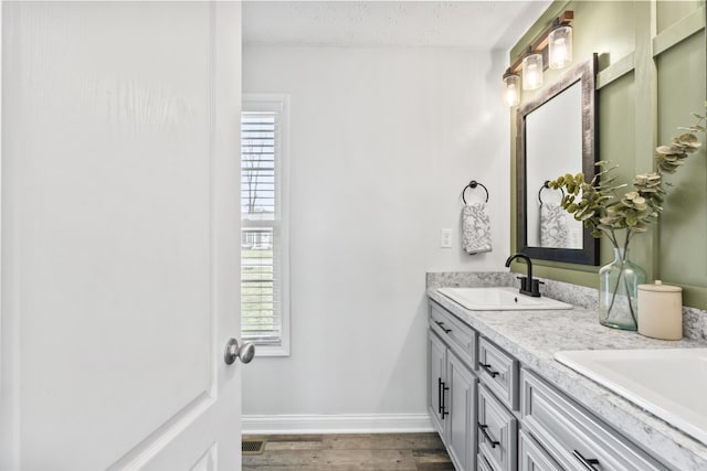 bathroom with a wealth of natural light, wood finished floors, baseboards, and a sink