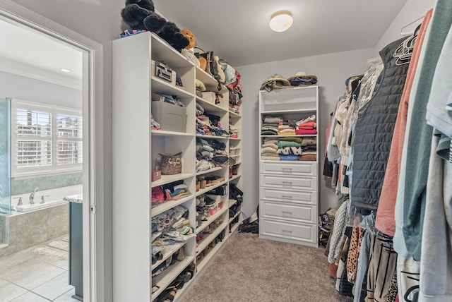 spacious closet featuring carpet floors