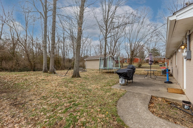 view of yard featuring a patio area, an outbuilding, and a trampoline