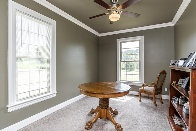 sitting room featuring baseboards, carpet floors, ceiling fan, and crown molding