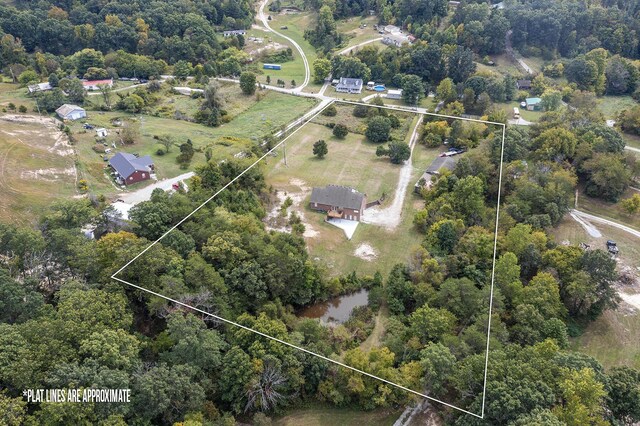 aerial view