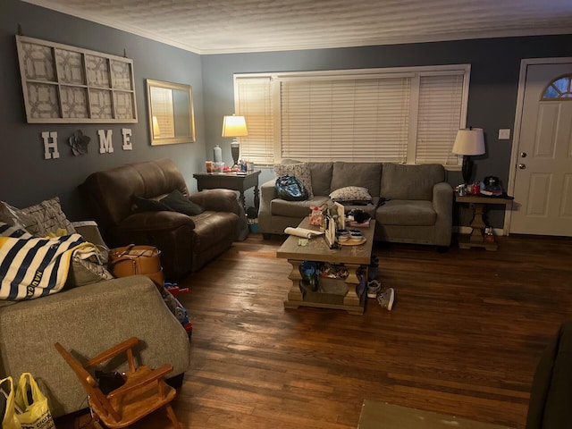 living area featuring wood finished floors and ornamental molding