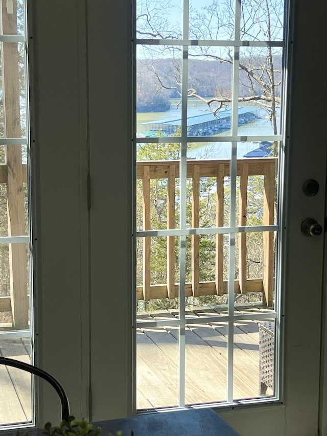 entryway with a wealth of natural light and a water view