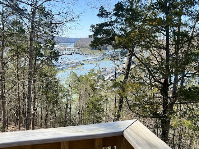 property view of water with a view of trees