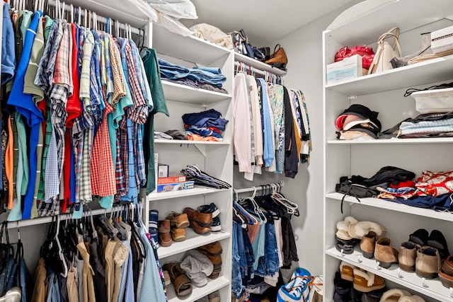 view of spacious closet