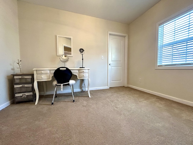 office space featuring baseboards and carpet floors