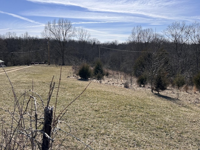 view of yard with a rural view and a forest view