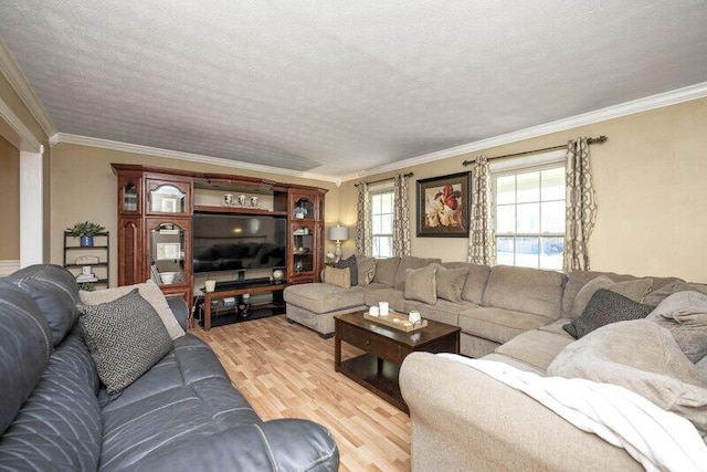 living room featuring a textured ceiling, ornamental molding, and light wood finished floors