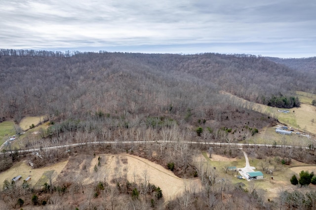 aerial view with a wooded view