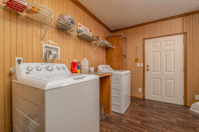 bedroom with a ceiling fan, wood finished floors, and a textured ceiling