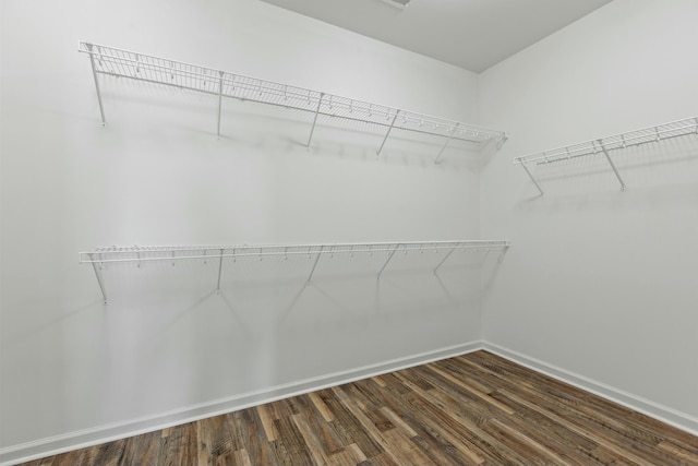 walk in closet with dark wood finished floors