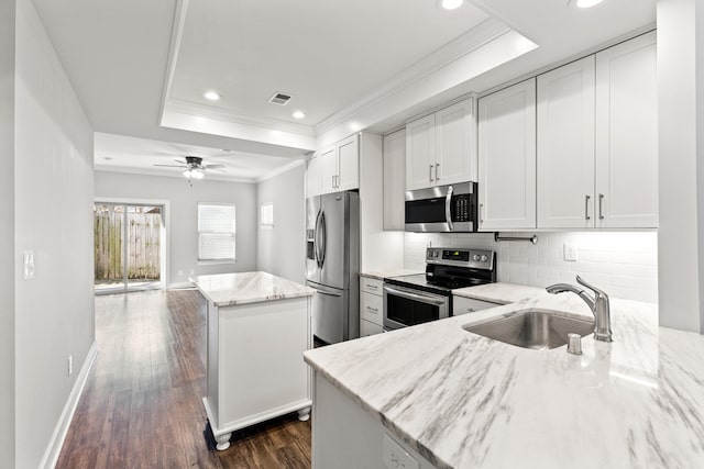 kitchen featuring a raised ceiling, a kitchen island, appliances with stainless steel finishes, and a sink