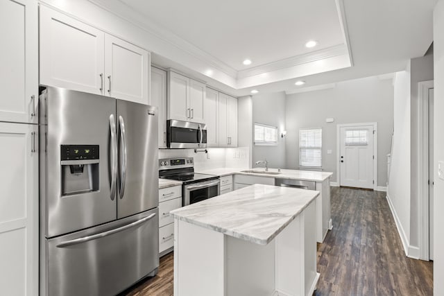 kitchen featuring crown molding, a peninsula, stainless steel appliances, a raised ceiling, and a sink