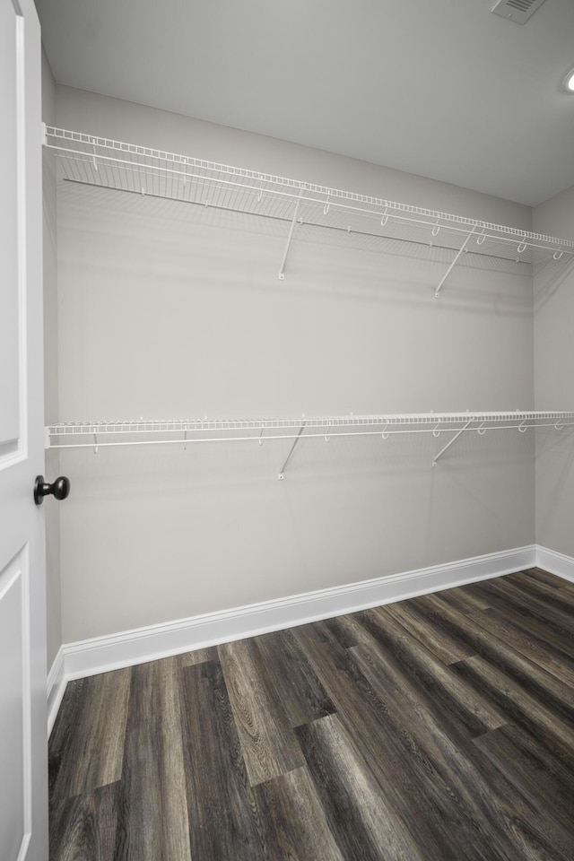 walk in closet with visible vents and dark wood-style flooring