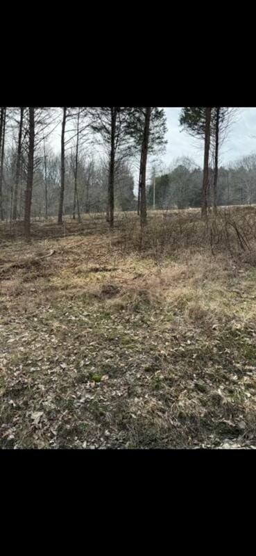 3.05 Peytonsburg-Sulphur Rd, Burkesville KY, 42717 land for sale