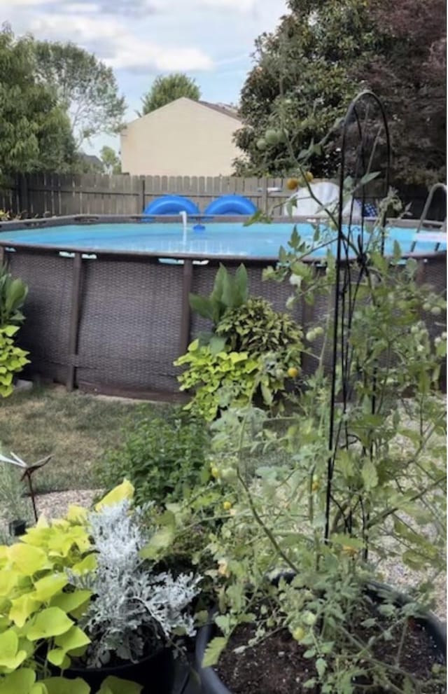 outdoor pool with fence