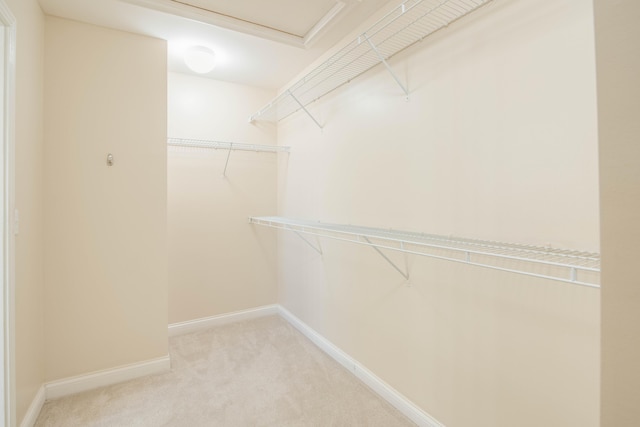 walk in closet with light colored carpet