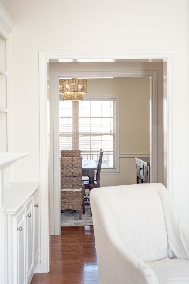 bedroom featuring dark wood-type flooring