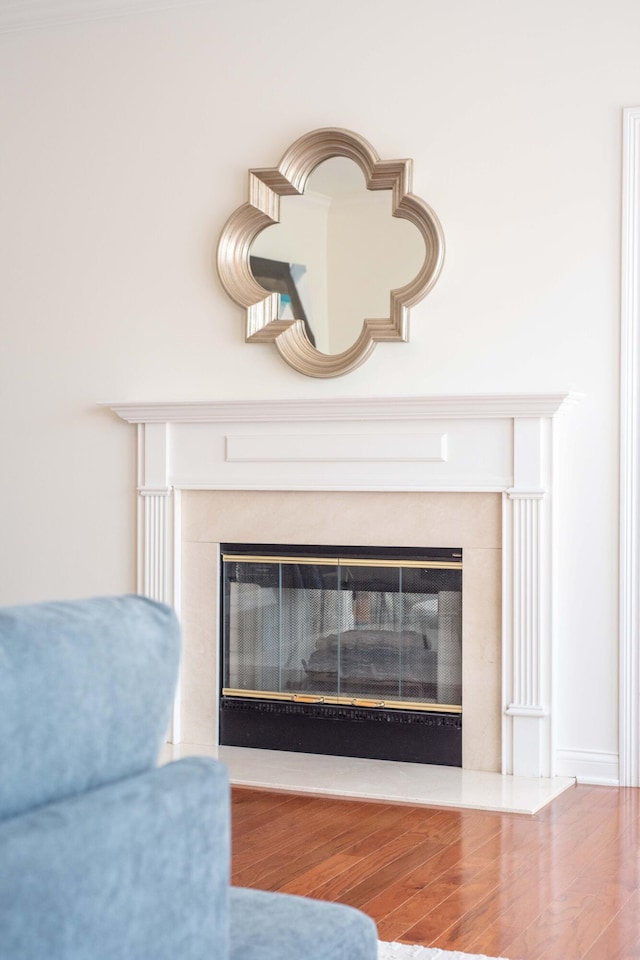 room details featuring wood finished floors and a fireplace