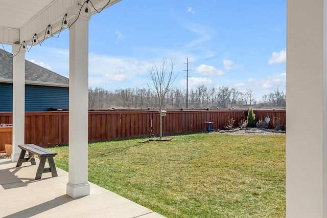 view of yard with a fenced backyard and a patio area