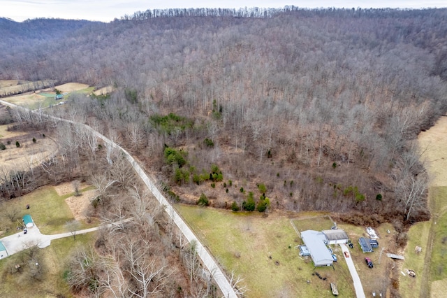 drone / aerial view featuring a mountain view and a wooded view