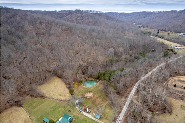 bird's eye view with a forest view