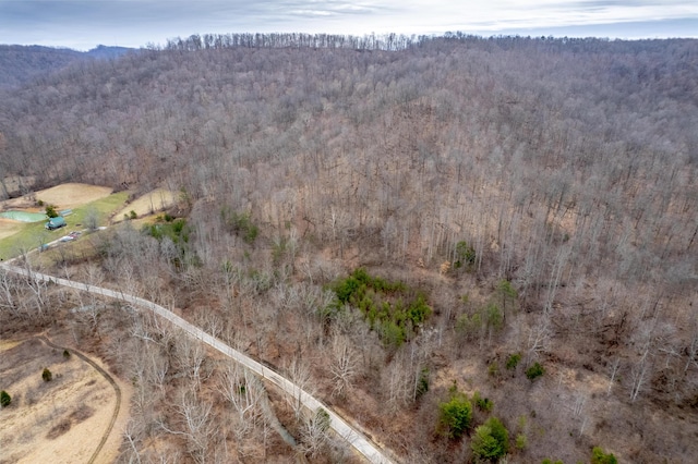 aerial view with a view of trees