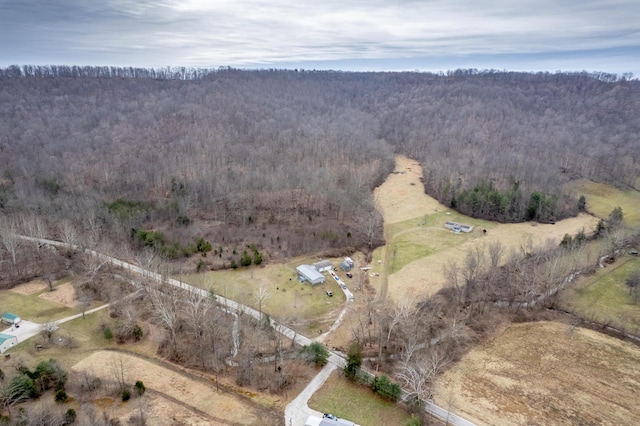 bird's eye view with a forest view