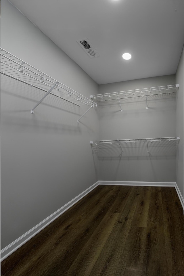 spacious closet featuring visible vents and dark wood-type flooring