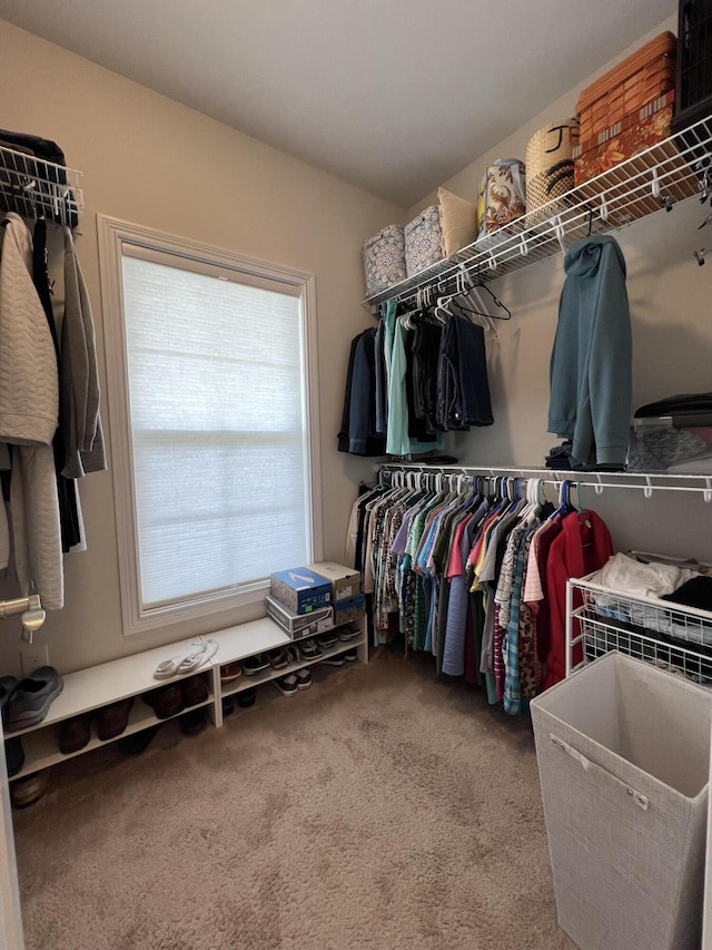 spacious closet with carpet