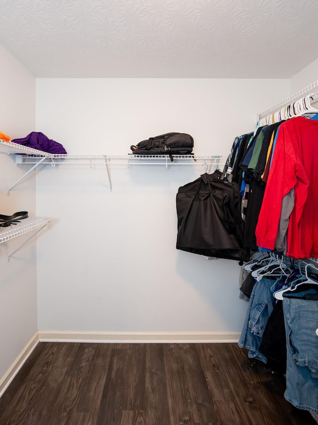 spacious closet featuring wood finished floors