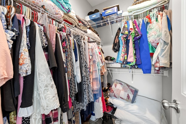 view of spacious closet