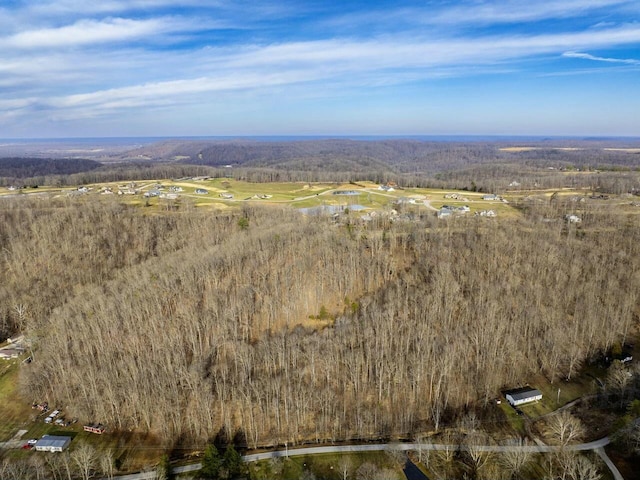 1577 Bluebank Rd, Morehead KY, 40351 land for sale