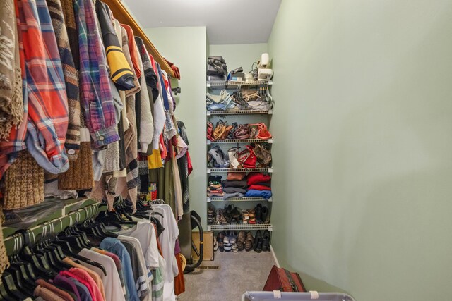 spacious closet featuring carpet flooring