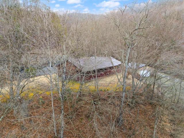 bird's eye view with a view of trees