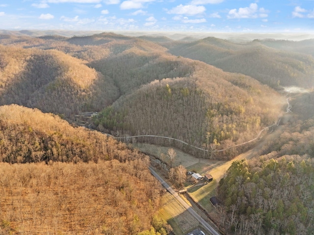 aerial view featuring a forest view