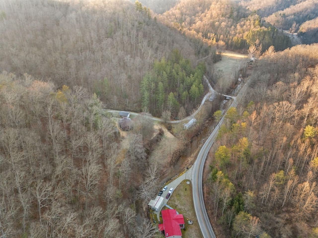 aerial view with a view of trees