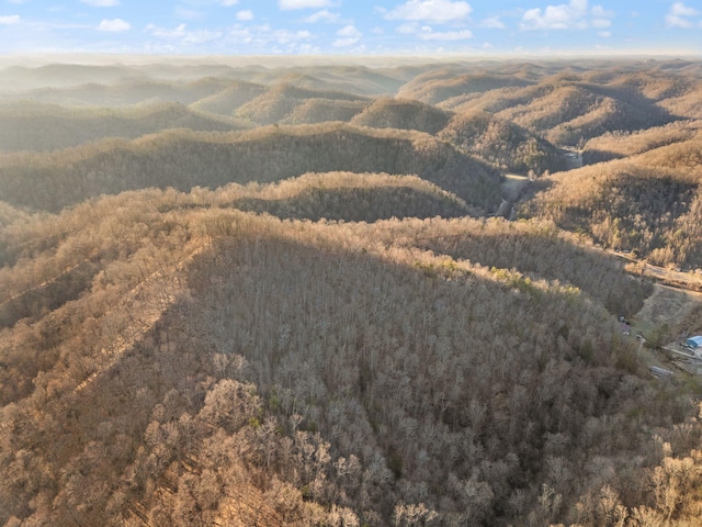 mountain view featuring a wooded view