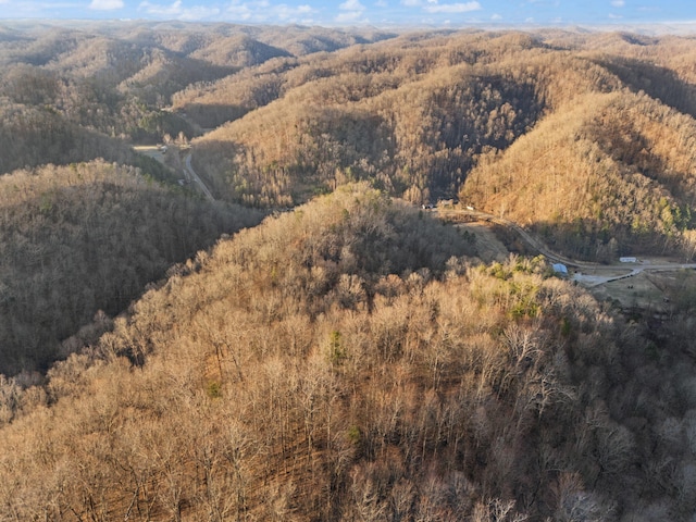 mountain view with a wooded view