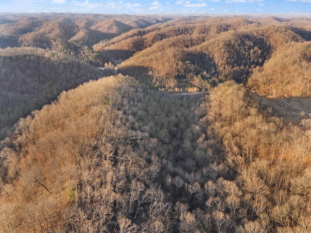 drone / aerial view featuring a view of trees