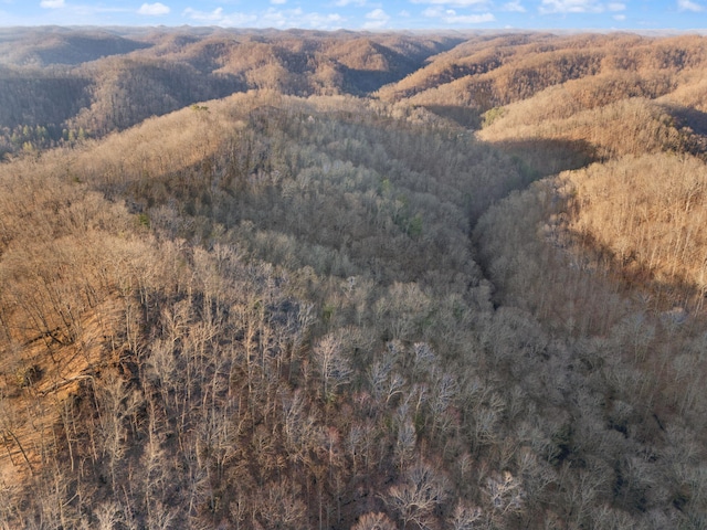 mountain view featuring a wooded view