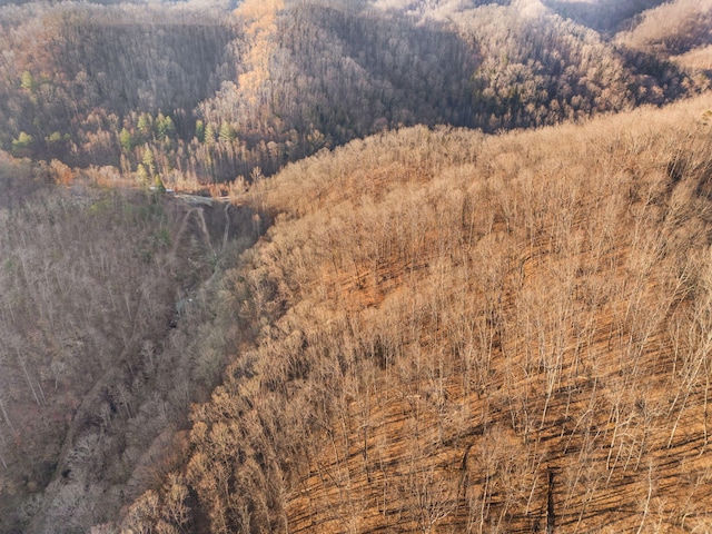 property view of mountains with a forest view