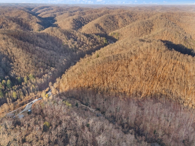 aerial view with a view of trees