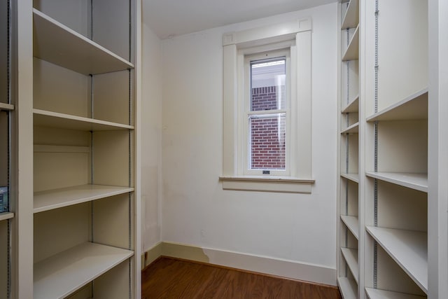 spacious closet featuring dark wood-type flooring