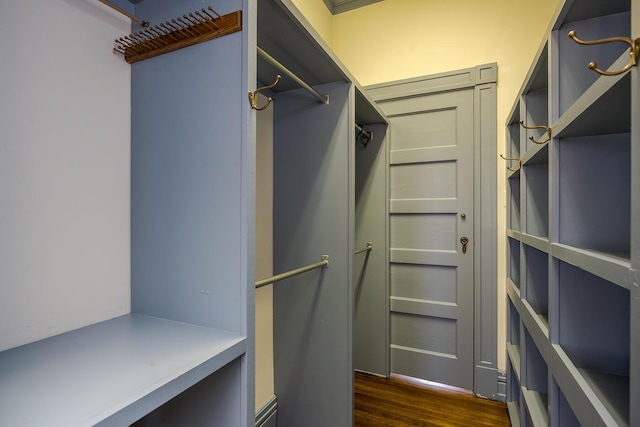 walk in closet with dark wood finished floors