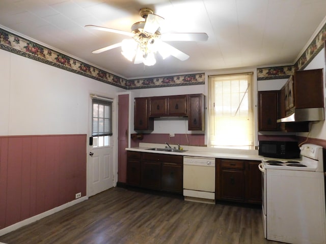 kitchen featuring white appliances, light countertops, dark wood-type flooring, and a sink