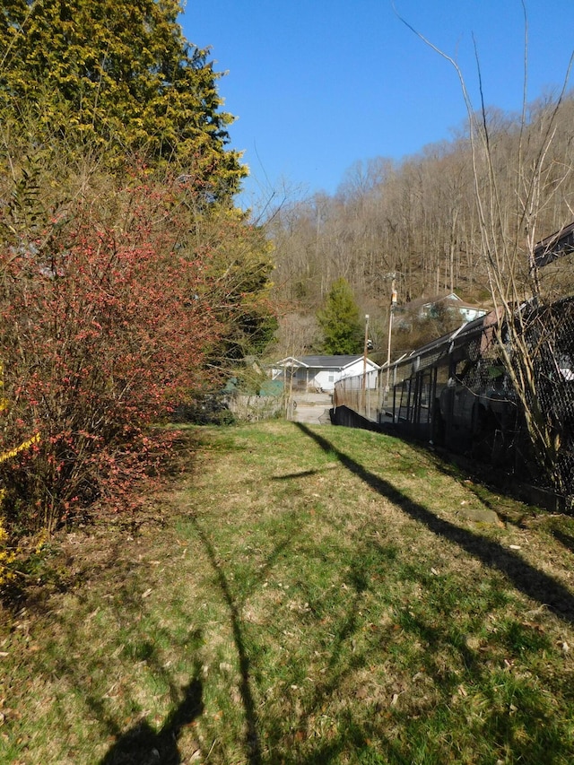 view of yard featuring a wooded view