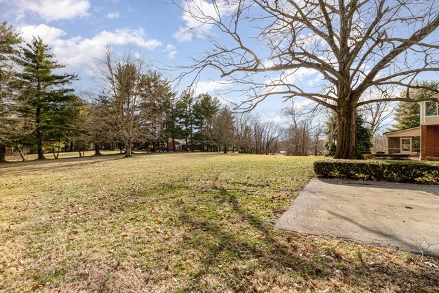 2136 Adena Ln, Lexington, KY 40516 - view of yard