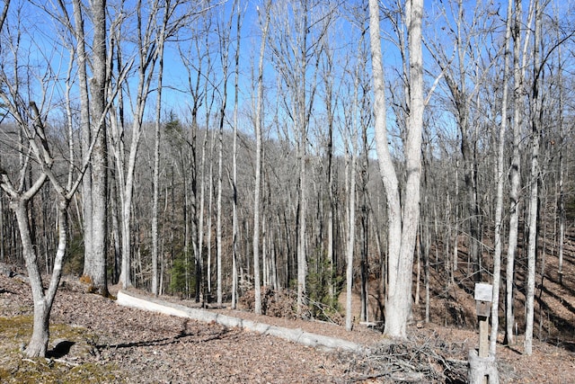 view of landscape with a forest view